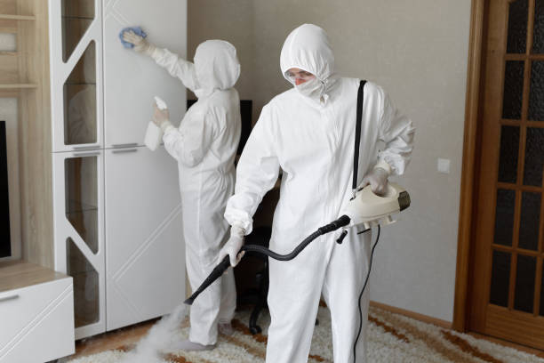 Best Residential Mold Removal  in Palmer, AK