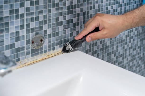 Best Best Mold Removal Companies  in Palmer, AK